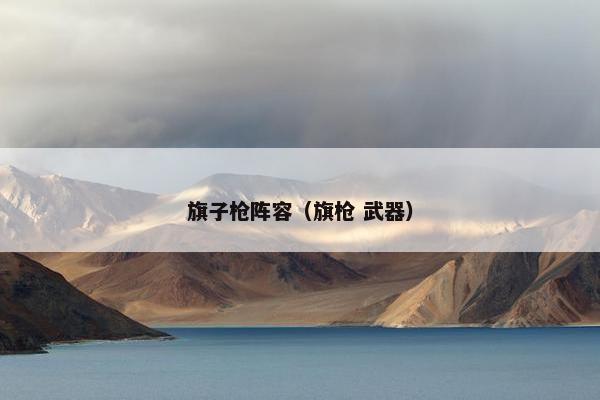 旗子枪阵容(旗枪 武器) 旗子枪阵容(旗枪 武器)