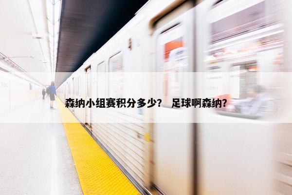 森纳小组赛积分多少？ 足球啊森纳？