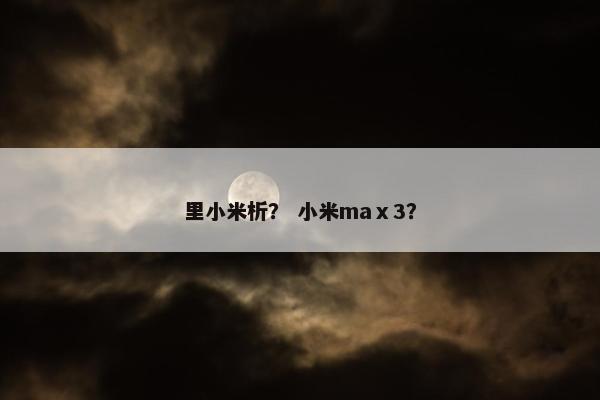里小米析？ 小米maⅹ3？
