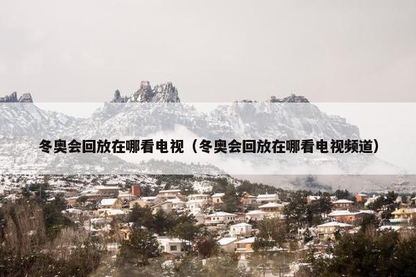 冬奥会回放在哪看电视（冬奥会回放在哪看电视频道）