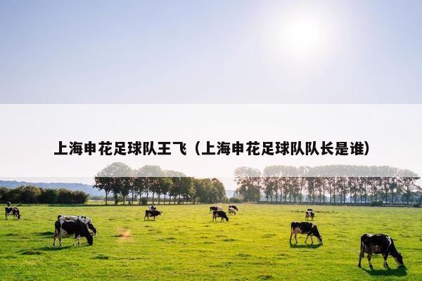 上海申花足球队王飞(上海申花足球队队长是谁) 上海申花足球队王飞(上海申花足球队队长是谁)