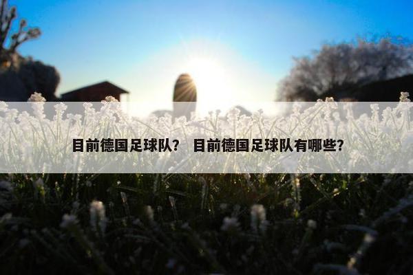 目前德国足球队？ 目前德国足球队有哪些？