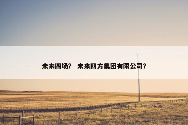 未来四场？ 未来四方集团有限公司？