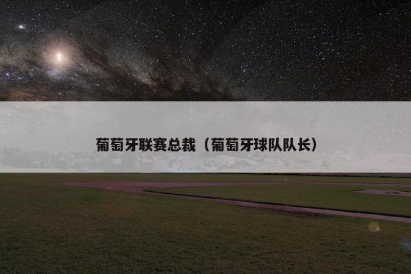 葡萄牙联赛总裁(葡萄牙球队队长) 葡萄牙联赛总裁(葡萄牙球队队长)