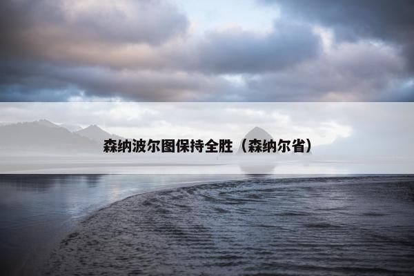 森纳波尔图保持全胜（森纳尔省）