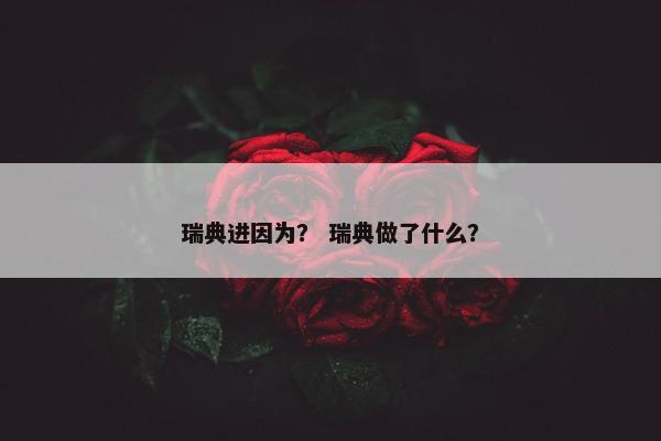 瑞典进因为？ 瑞典做了什么？