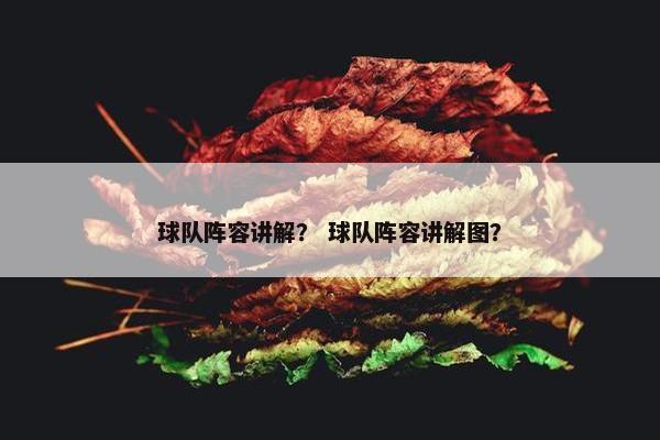 球队阵容讲解？ 球队阵容讲解图？