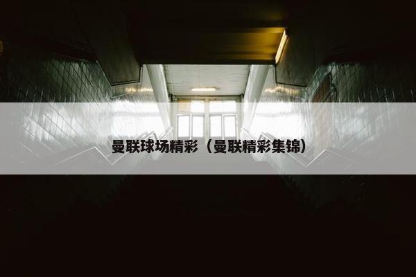 曼联球场精彩（曼联精彩集锦）