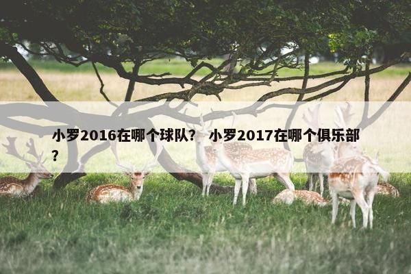 小罗2016在哪个球队？ 小罗2017在哪个俱乐部？