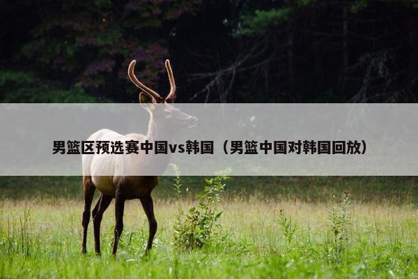 男篮区预选赛中国vs韩国（男篮中国对韩国回放）