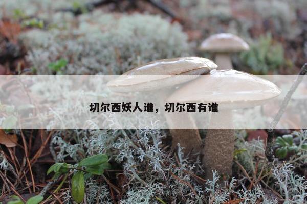 切尔西妖人谁，切尔西有谁