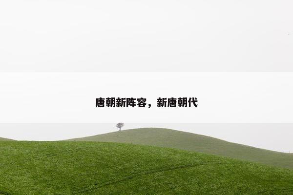 唐朝新阵容，新唐朝代