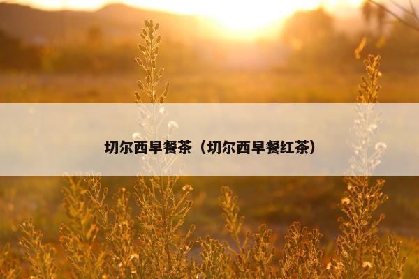 切尔西早餐茶（切尔西早餐红茶）