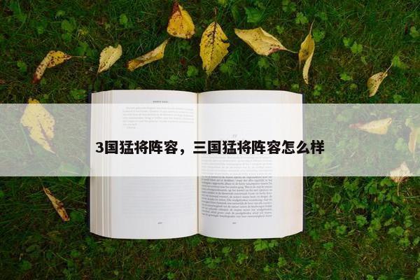 3国猛将阵容，三国猛将阵容怎么样