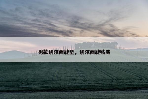 男款切尔西鞋垫，切尔西鞋贴底