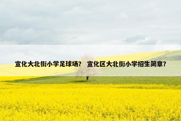 宣化大北街小学足球场？ 宣化区大北街小学招生简章？