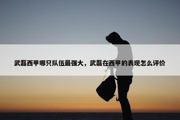 武磊西甲哪只队伍最强大，武磊在西甲的表现怎么评价