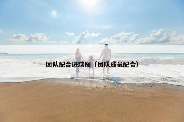 团队配合进球图（团队成员配合）