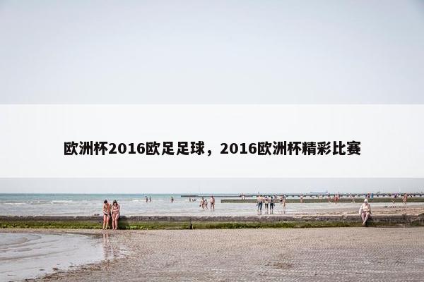 欧洲杯2016欧足足球，2016欧洲杯精彩比赛