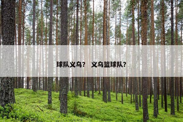 球队义乌？ 义乌篮球队？