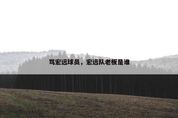 骂宏远球员，宏远队老板是谁