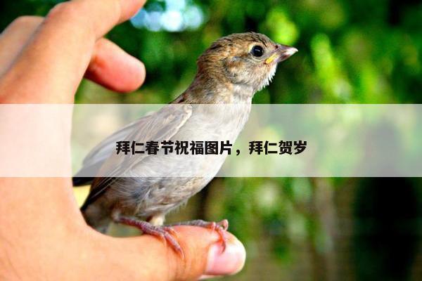 拜仁春节祝福图片,拜仁贺岁 拜仁春节祝福图片,拜仁贺岁