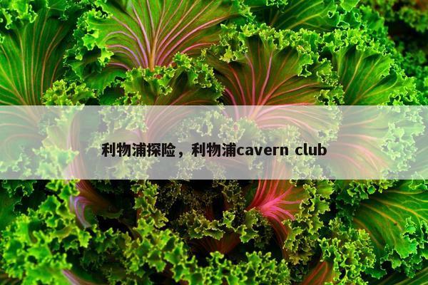 利物浦探险，利物浦cavern club