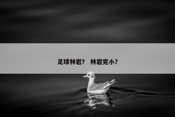 足球林岩？ 林岩完小？