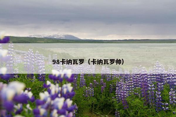 98卡纳瓦罗(卡纳瓦罗帅) 98卡纳瓦罗(卡纳瓦罗帅)