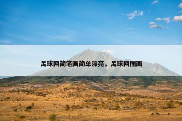 足球网简笔画简单漂亮，足球网图画