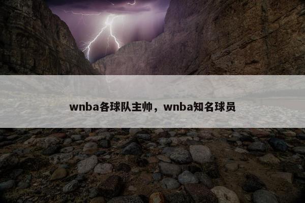 wnba各球队主帅，wnba知名球员