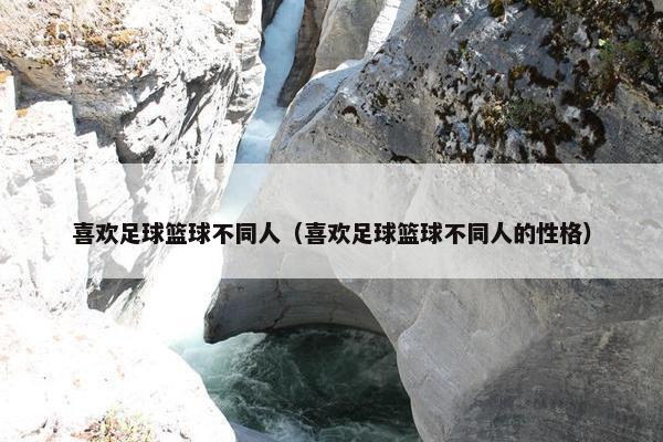 喜欢足球篮球不同人（喜欢足球篮球不同人的性格）
