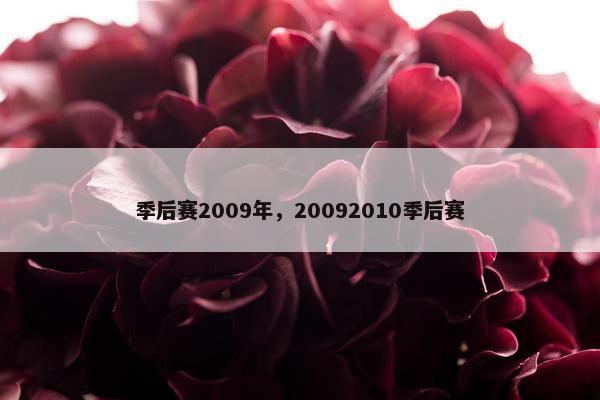 季后赛2009年，20092010季后赛