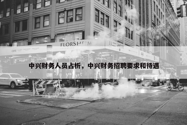 中兴财务人员占析,中兴财务招聘要求和待遇 中兴财务人员占析,中兴财务招聘要求和待遇