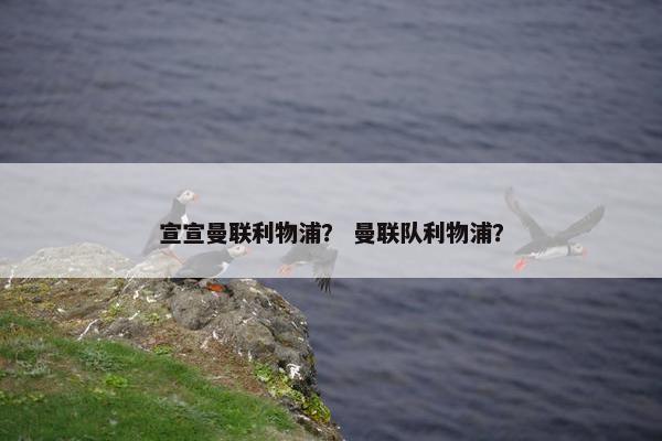 宣宣曼联利物浦? 曼联队利物浦? 宣宣曼联利物浦? 曼联队利物浦?