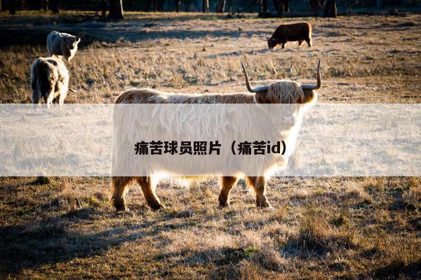 痛苦球员照片（痛苦id）