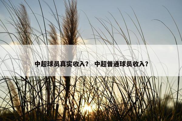 中超球员真实收入？ 中超普通球员收入？