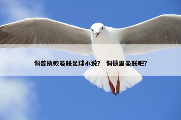 佩普执教曼联足球小说？ 佩德里曼联吧？
