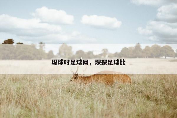 琛球时足球网，琛探足球比