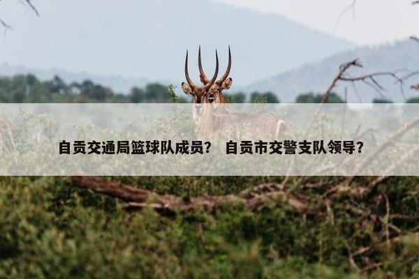自贡交通局篮球队成员？ 自贡市交警支队领导？