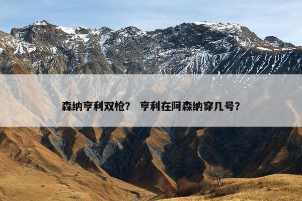 森纳亨利双枪？ 亨利在阿森纳穿几号？