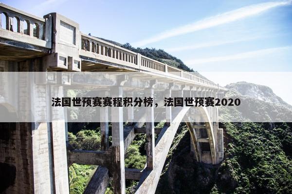 法国世预赛赛程积分榜，法国世预赛2020