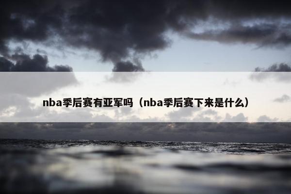 nba季后赛有亚军吗（nba季后赛下来是什么）