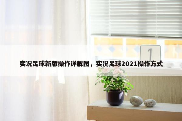 实况足球新版操作详解图,实况足球2021操作方式 实况足球新版操作详解图,实况足球2021操作方式