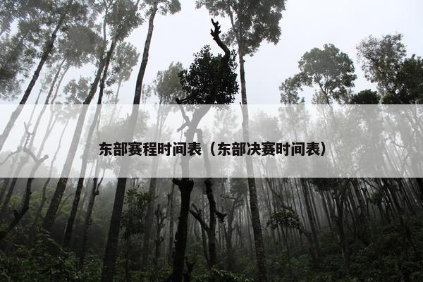东部赛程时间表（东部决赛时间表）