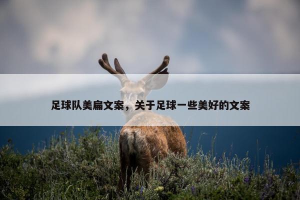 足球队美扁文案，关于足球一些美好的文案