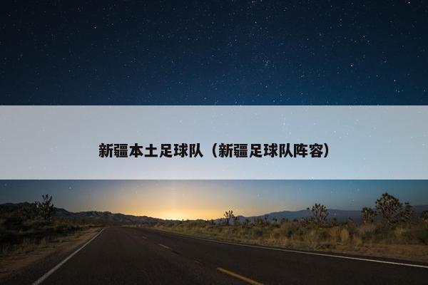 新疆本土足球队（新疆足球队阵容）