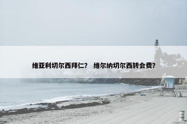 维亚利切尔西拜仁？ 维尔纳切尔西转会费？