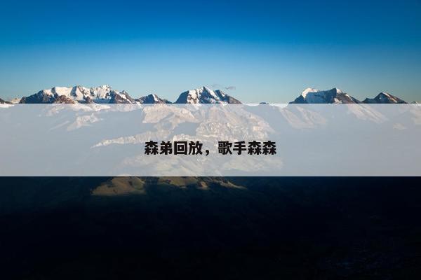 森弟回放，歌手森森