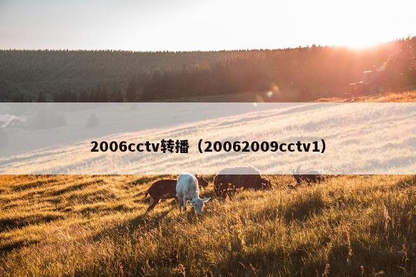 2006cctv转播（20062009cctv1）